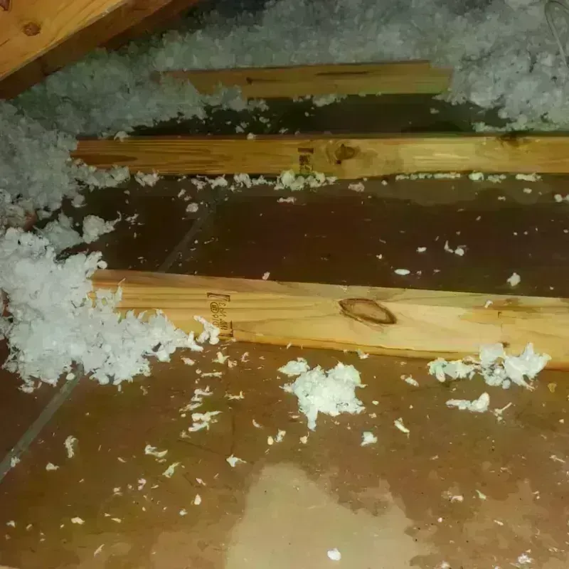 Attic Water Damage in Pine Knoll Shores, NC